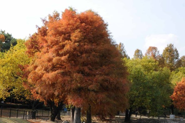 2013.11.27-096