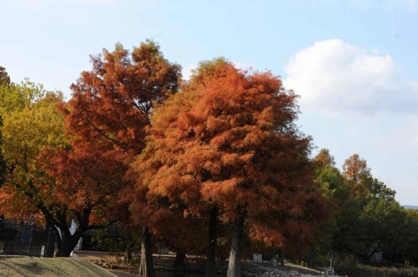 2013.11.27-097