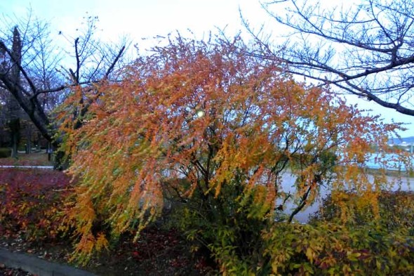 2013.11.30-011