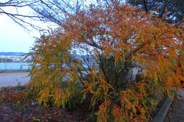 2013.11.30-012