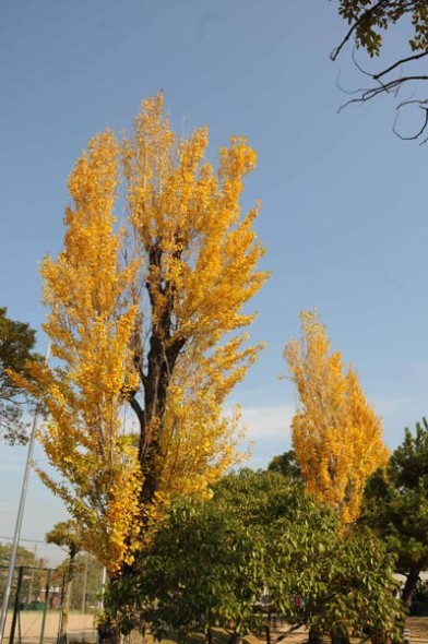 2013.11.27-095